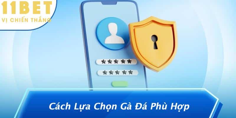 Cách Lựa Chọn Gà Đá Phù Hợp